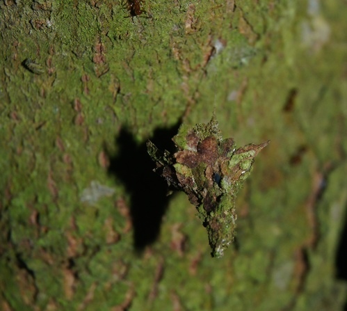 cgm93f2b539fcc854cf3a6d6928379f22e7201.jpg cgm93f2b539fcc854cf3a6d6928379f22e7201.jpg