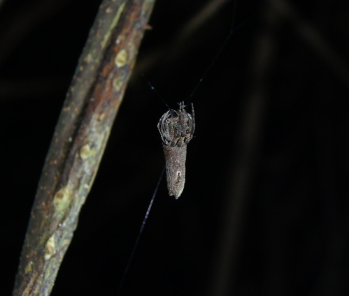 cgm2221bcef8b7f85a1c1053b40a4f7fd46785.jpg cgm2221bcef8b7f85a1c1053b40a4f7fd46785.jpg