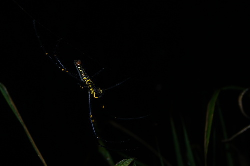 cgm3003d28a032de4938a45b91ddedf01a6357.jpg cgm3003d28a032de4938a45b91ddedf01a6357.jpg