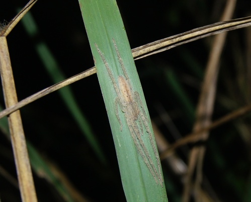 cgm471fb1f6eab9cd04fd372928cb402745108.jpg cgm471fb1f6eab9cd04fd372928cb402745108.jpg