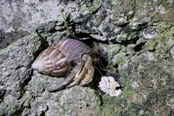 cgm39ba2bcaf19c06c80291f161fc835927281.jpg cgm39ba2bcaf19c06c80291f161fc835927281.jpg