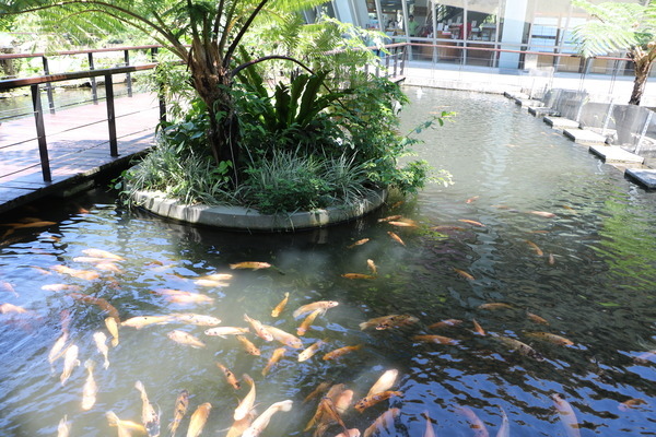 cgm0198d81a0e557d2a1295d0e41c3e64df254.jpg cgm0198d81a0e557d2a1295d0e41c3e64df254.jpg