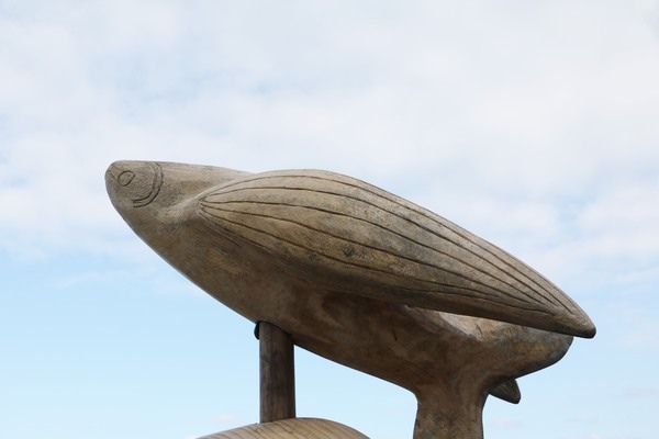 cgmb1772039ef8b3eacc98d061e20b57b3f687.jpg cgmb1772039ef8b3eacc98d061e20b57b3f687.jpg