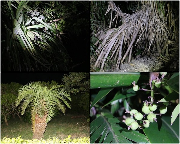 cgmcd12e120d6d23eafffddc02456c15881784.jpg cgmcd12e120d6d23eafffddc02456c15881784.jpg