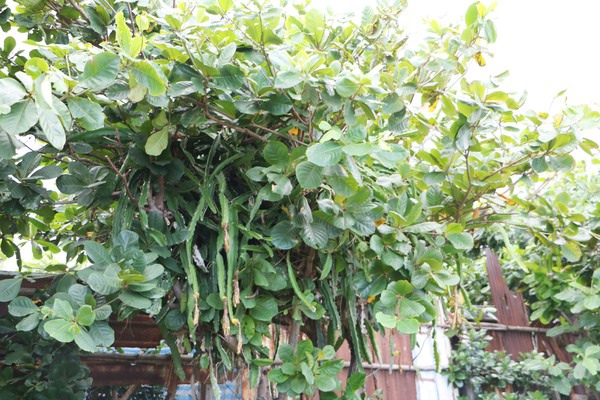 cgmd038309bfbce4d9e4464b1f955414cdd314.jpg cgmd038309bfbce4d9e4464b1f955414cdd314.jpg