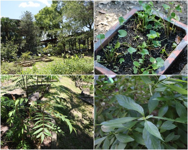 cgmf891a86c898eeccf8c606b1c8d4cb1f0452.jpg cgmf891a86c898eeccf8c606b1c8d4cb1f0452.jpg