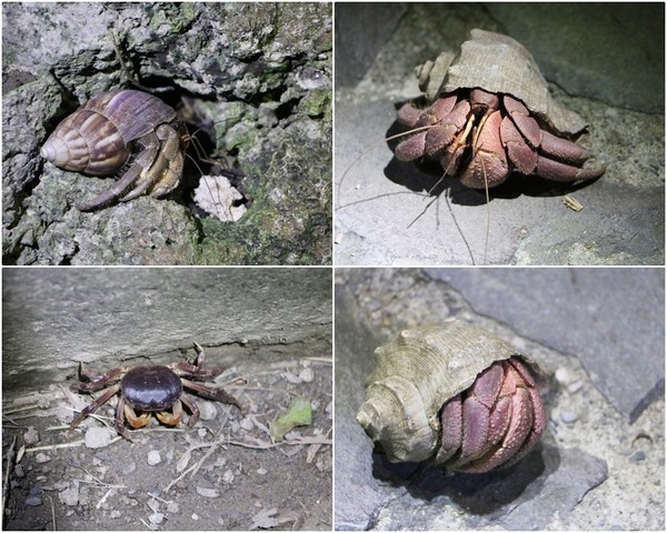 cgmef02a48c791ec87c5325f41712af5435678.jpg cgmef02a48c791ec87c5325f41712af5435678.jpg