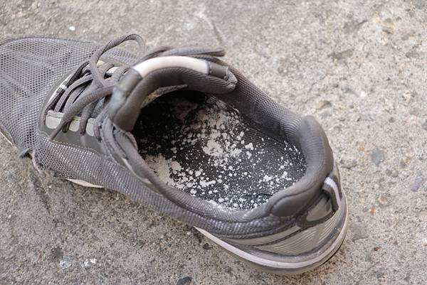 IMG_2717.JPG IMG_2717.JPG