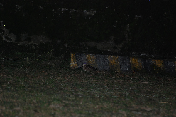 DSC_1763.JPG DSC_1763.JPG