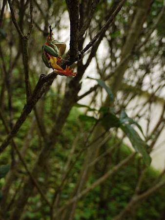 P1050481 P1050481
