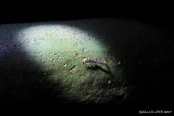 1-IMG_0379(小).jpg 1-IMG_0379(小).jpg