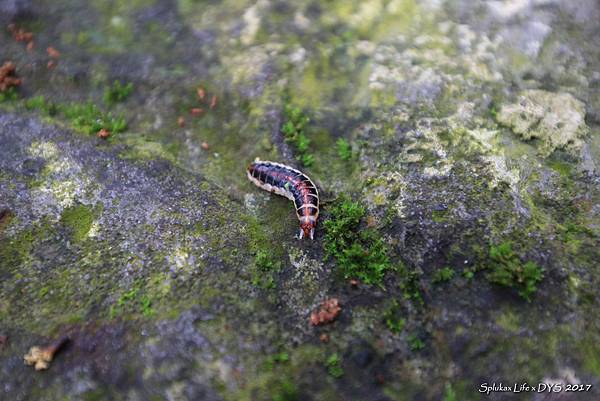 1-IMG_9850(小).jpg 1-IMG_9850(小).jpg