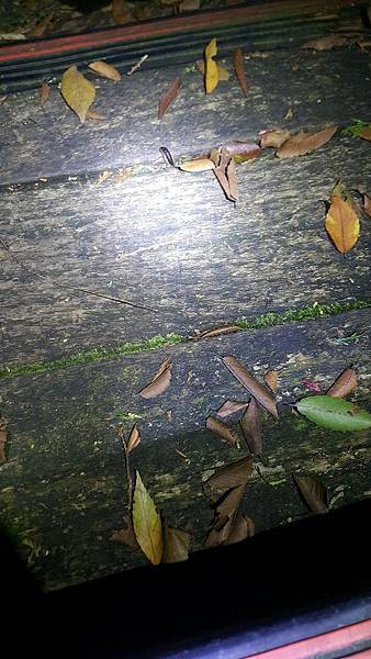 20170626_202953.jpg 20170626_202953.jpg
