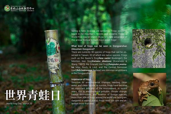 世界青蛙日宣傳海報.jpg 世界青蛙日宣傳海報.jpg