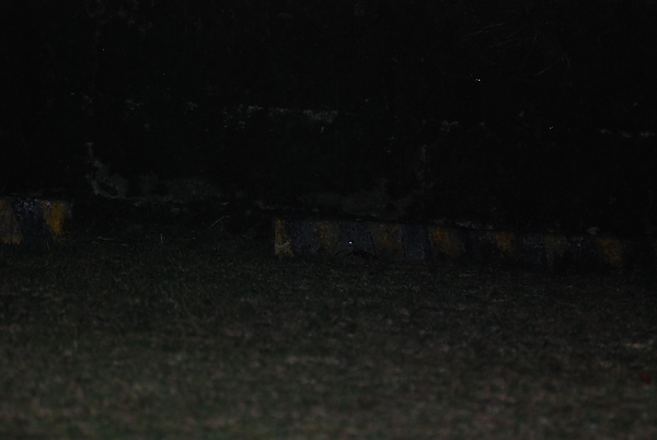 DSC_1762.JPG DSC_1762.JPG