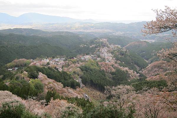 吉野山