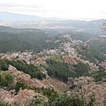 吉野山