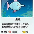 劍魚.jpg