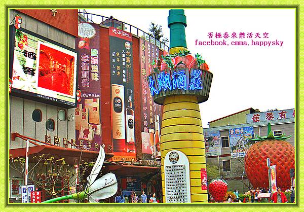 DSC01425_meitu_5