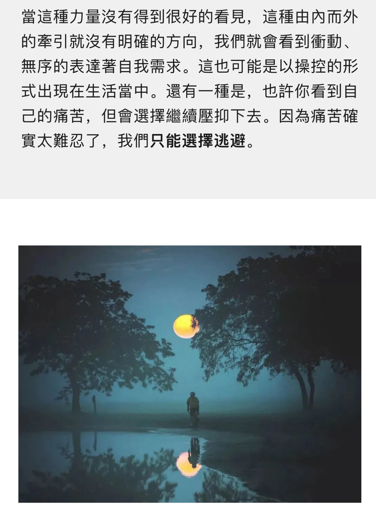 IMG_8353.jpeg IMG_8353.jpeg