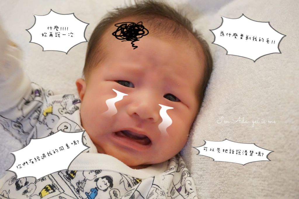 3.JPG 3.JPG