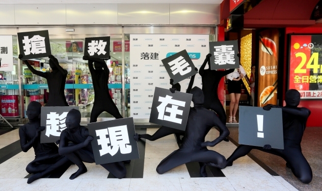 搶救毛囊趁現在 搶救毛囊趁現在