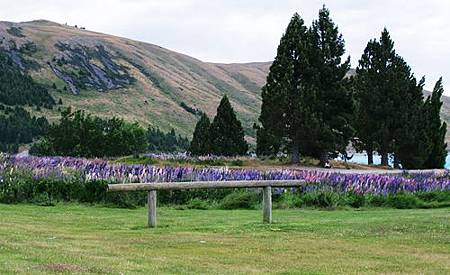 lake tekapo