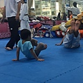 IMG_4519.JPG