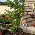 2022_03_21_20_09_IMG_2004.JPG