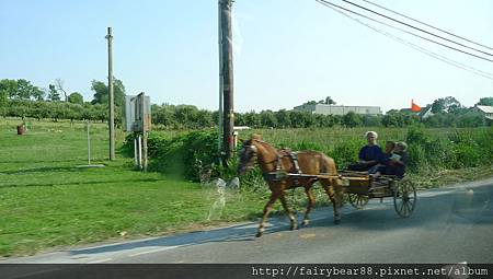 阿米西媽咪帶著兩個娃駕著馬車要回家囉！！