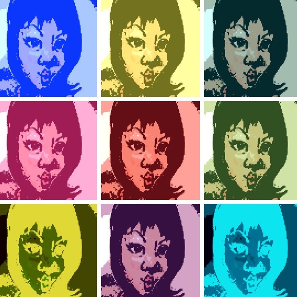 warholizer7e7a3c5a636423db722c841b94a853659a69f164.jpg