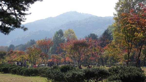 IMGP0657.JPG