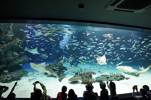 水族館 池袋