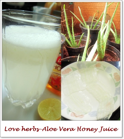 Aloe vera honey juice.jpg