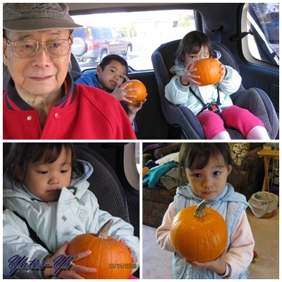 pumpkin 01.jpg