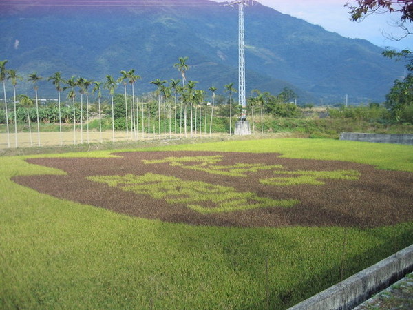 花東一景~