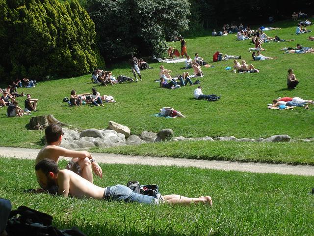 Photo jardin.JPG Photo jardin.JPG