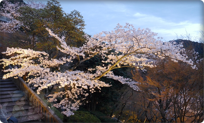 清水寺