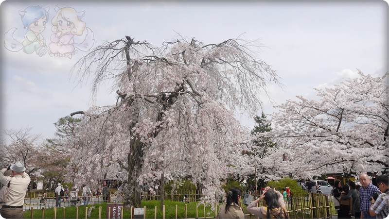 嵐山公園 嵐山公園