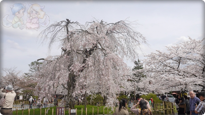 嵐山公園