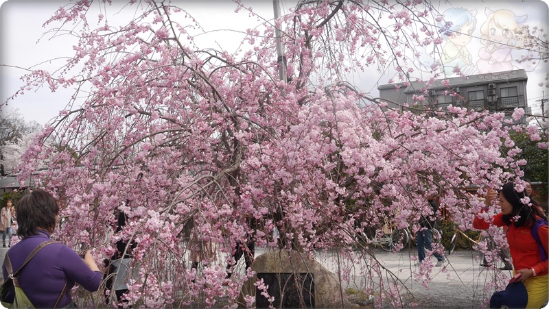 嵐山公園