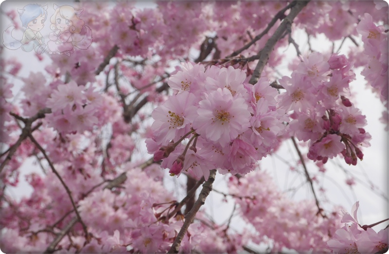 嵐山公園