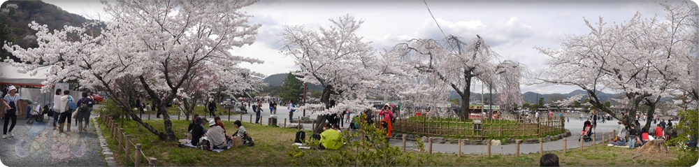 嵐山公園 嵐山公園