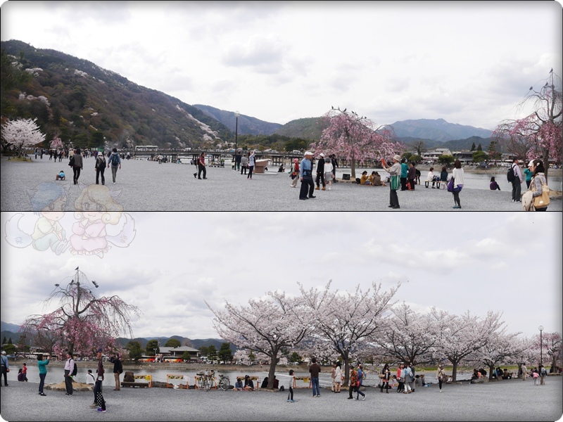 嵐山公園 嵐山公園