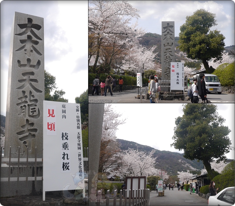 天龍寺 天龍寺