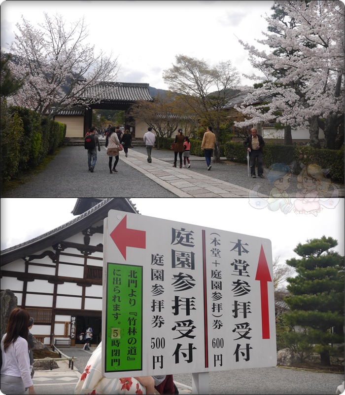 天龍寺 天龍寺
