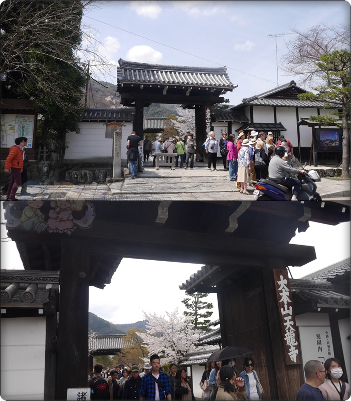 天龍寺 天龍寺