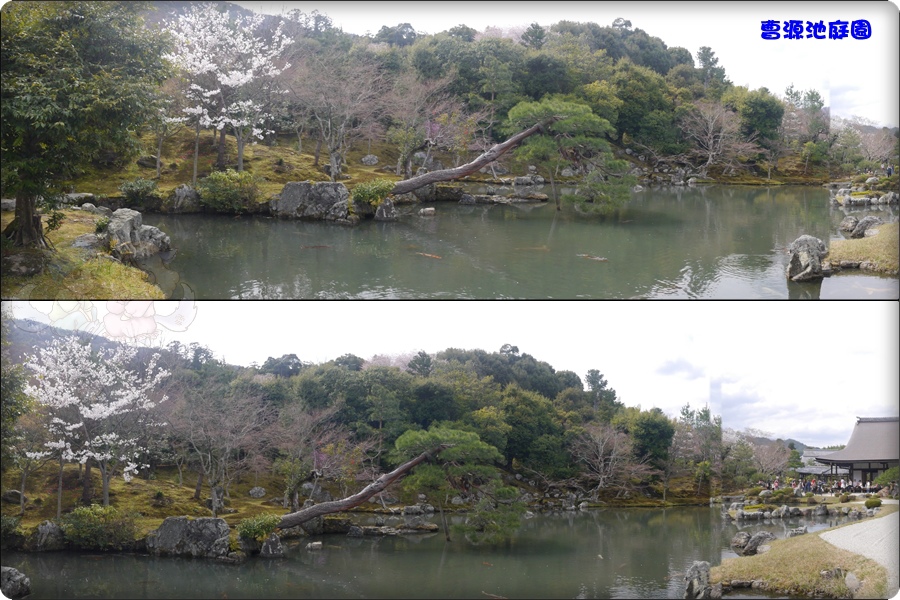天龍寺 天龍寺