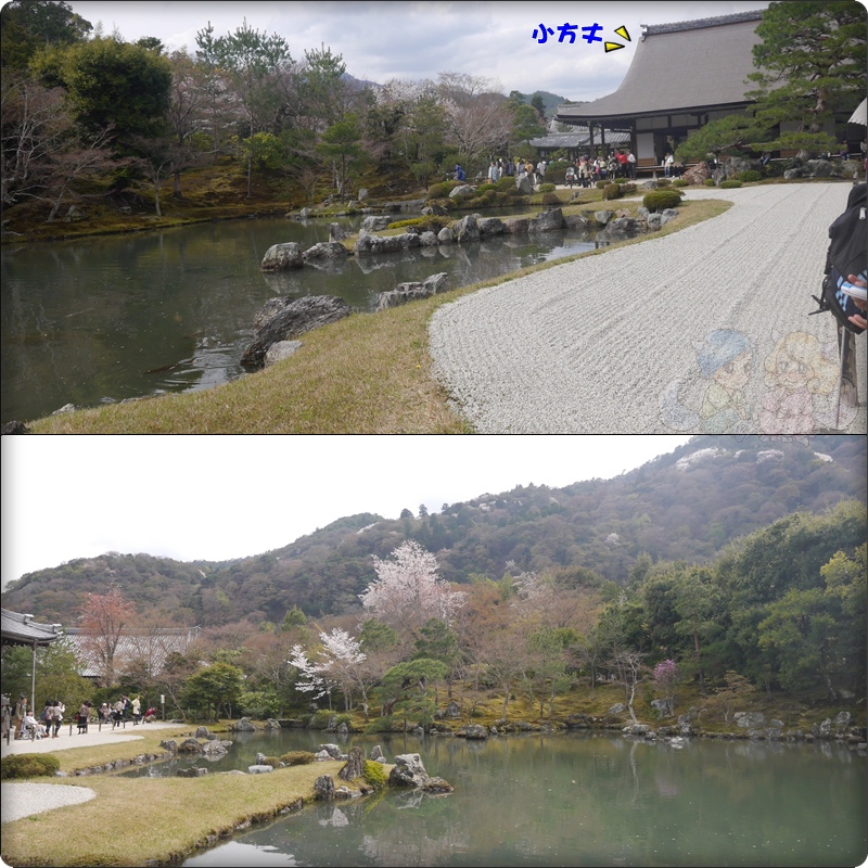 天龍寺 天龍寺