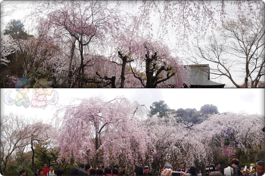 天龍寺 天龍寺
